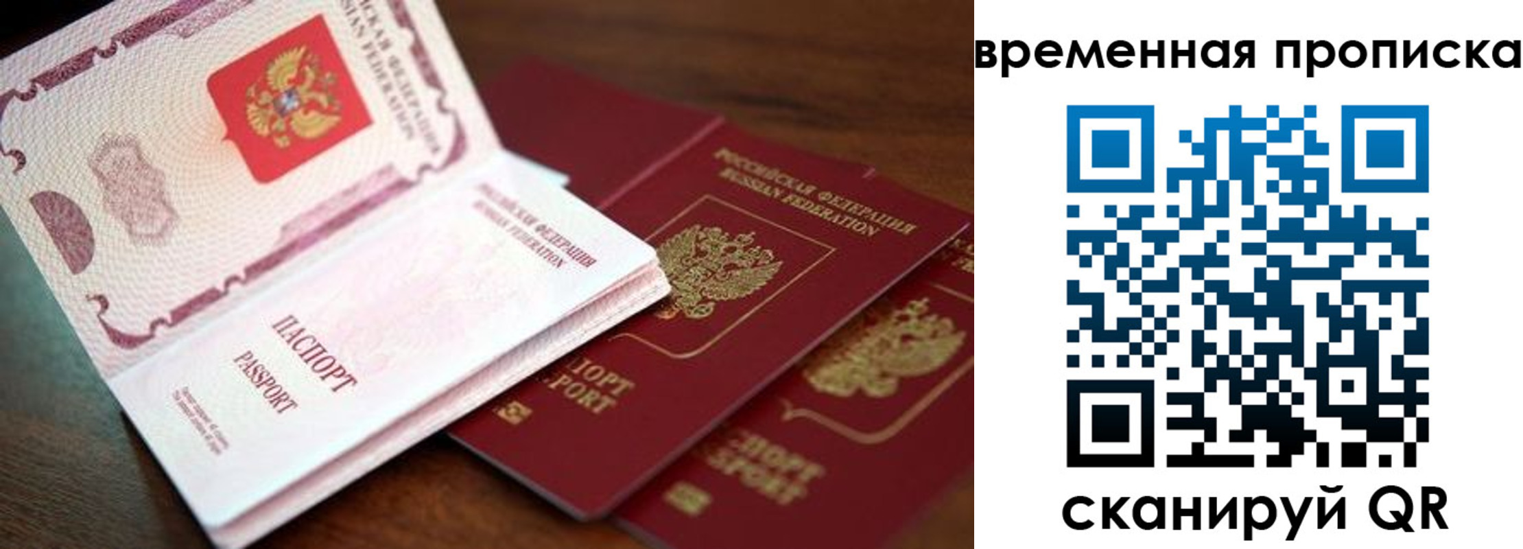 прописка гарантия в Брянской области